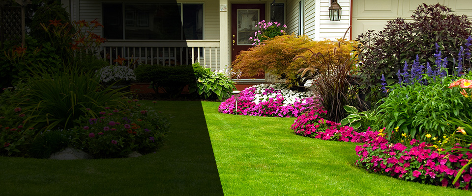 Conway Landscapers