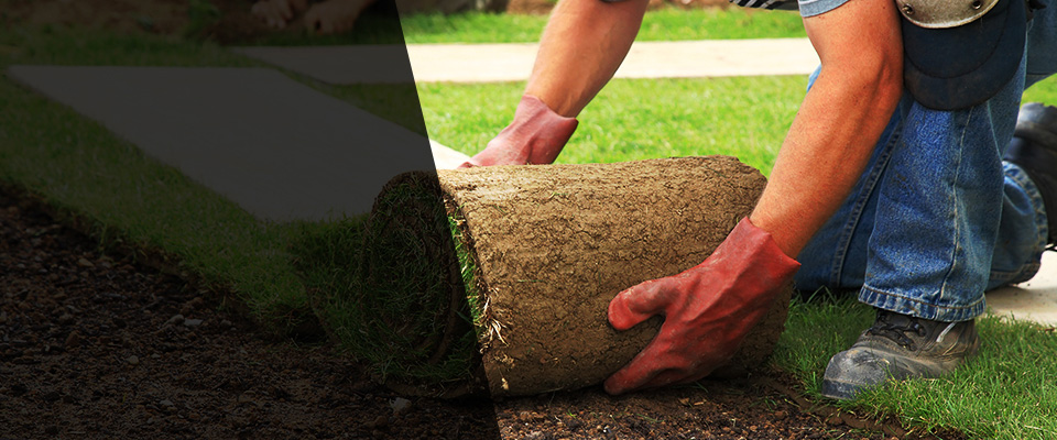 Conway Landscapers